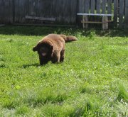 Превью фото № 238393