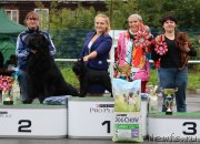 Превью фото № 238419