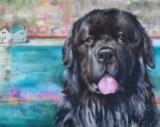 Превью фото № 238473