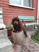 Превью фото № 238533