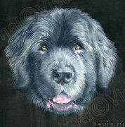 Превью фото № 238541