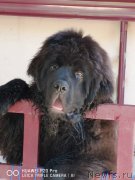 Превью фото № 238563