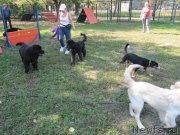 Превью фото № 238566