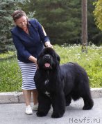 Превью фото № 238569