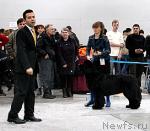 Превью фото № 23859