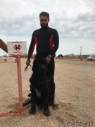 Превью фото № 238627