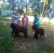 Превью фото № 238756