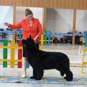 Превью фото № 238829