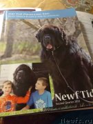 Превью фото № 238832