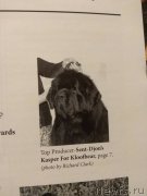 Превью фото № 238833