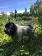 Превью фото № 238890