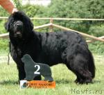 Превью фото № 2389