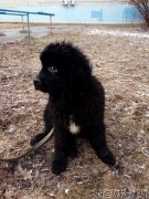 Превью фото № 238927