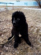 Превью фото № 238928