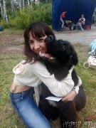 Превью фото № 238955