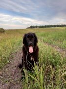 Превью фото № 238961