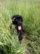 Превью фото № 238965