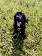 Превью фото № 238966