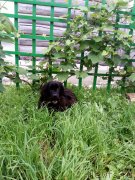 Превью фото № 238967