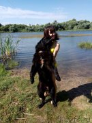 Превью фото № 238976