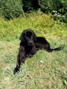 Превью фото № 238979