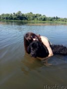 Превью фото № 238980