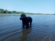 Превью фото № 238983