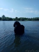 Превью фото № 238986