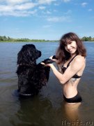 Превью фото № 238991