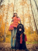 Превью фото № 239010