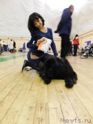 Превью фото № 239044