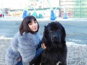 Превью фото № 239047