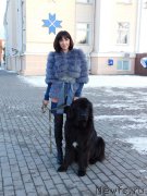 Превью фото № 239048