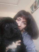 Превью фото № 239090