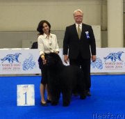 Превью фото № 239214