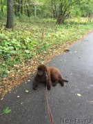 Превью фото № 239230