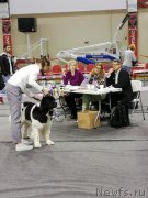 Превью фото № 239323