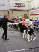 Превью фото № 239324