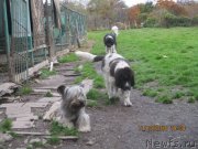 Превью фото № 239368