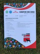 Превью фото № 239384