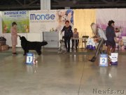 Превью фото № 239401