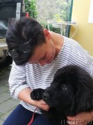 Превью фото № 239428