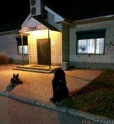 Превью фото № 239603