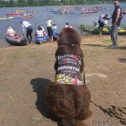 Превью фото № 239606