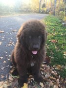 Превью фото № 239622