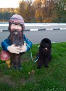 Превью фото № 239668