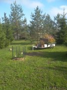 Превью фото № 239669