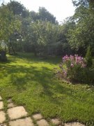 Превью фото № 239672