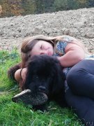 Превью фото № 239733