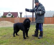 Превью фото № 239744